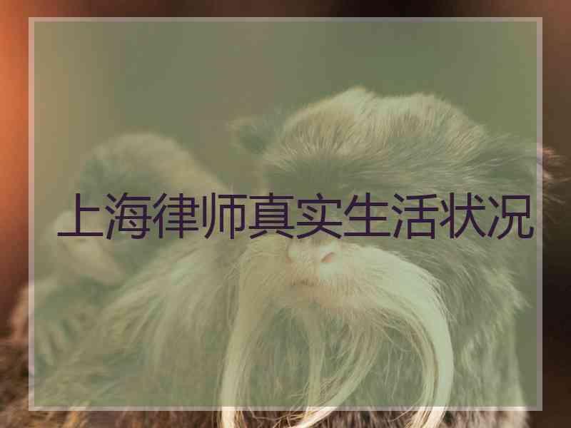 上海律师真实生活状况