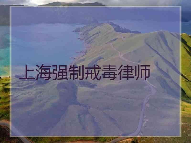 上海强制戒毒律师