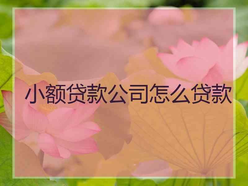 小额贷款公司怎么贷款