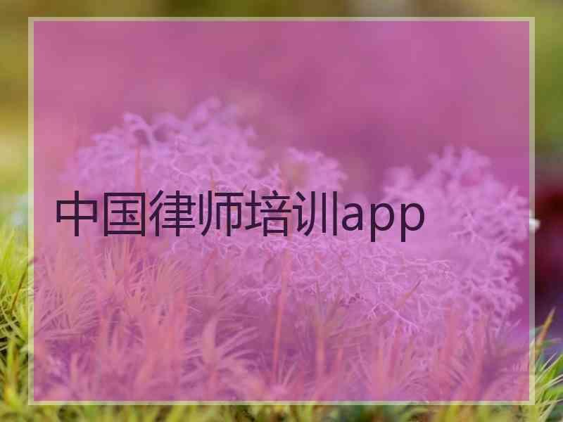 中国律师培训app