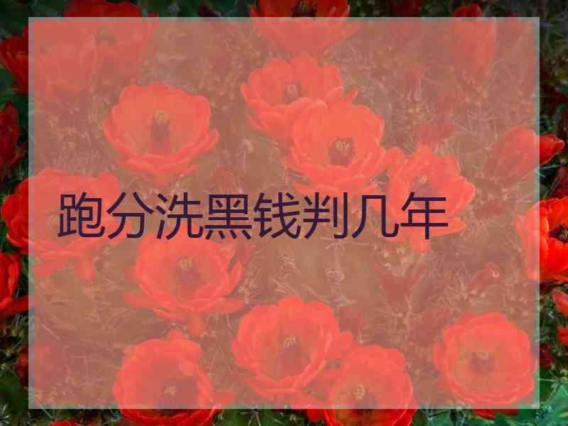 跑分洗黑钱判几年