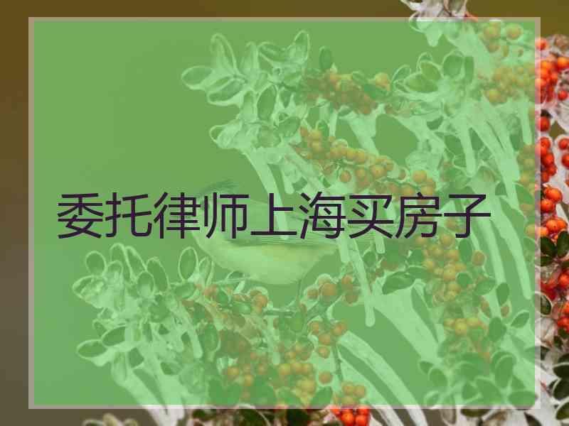 委托律师上海买房子