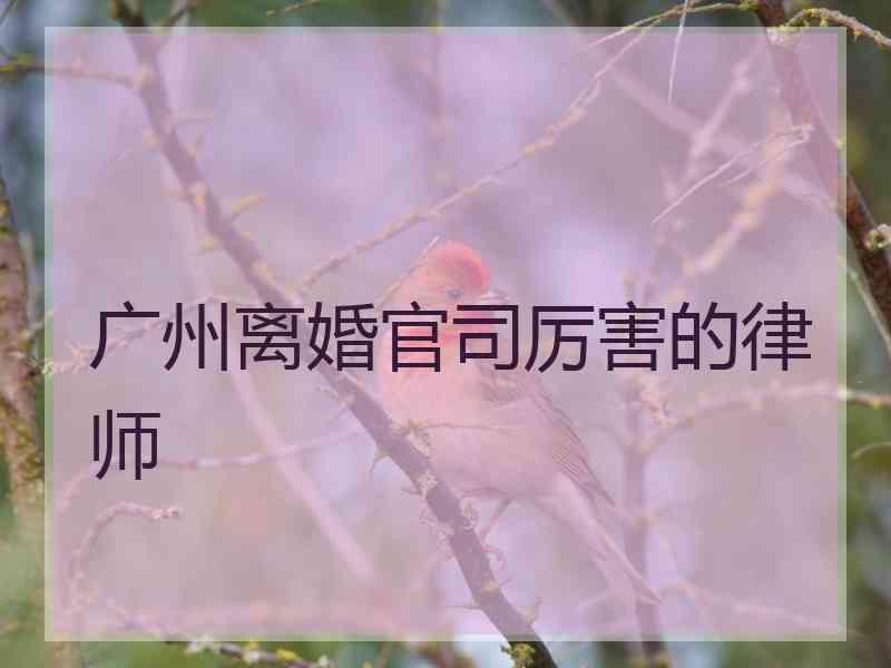 广州离婚官司厉害的律师