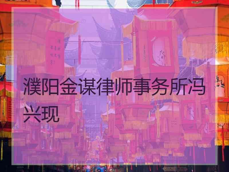 濮阳金谋律师事务所冯兴现