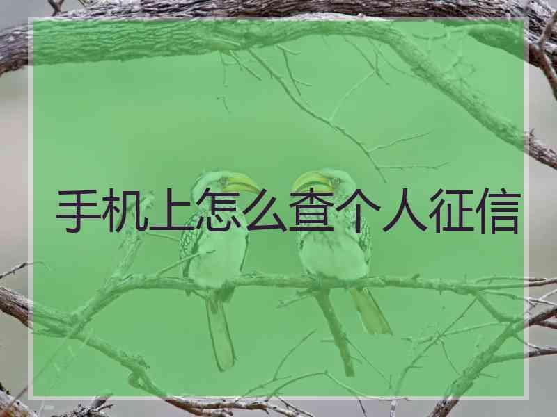 手机上怎么查个人征信