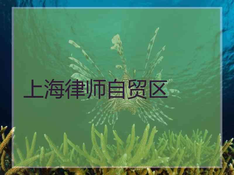 上海律师自贸区
