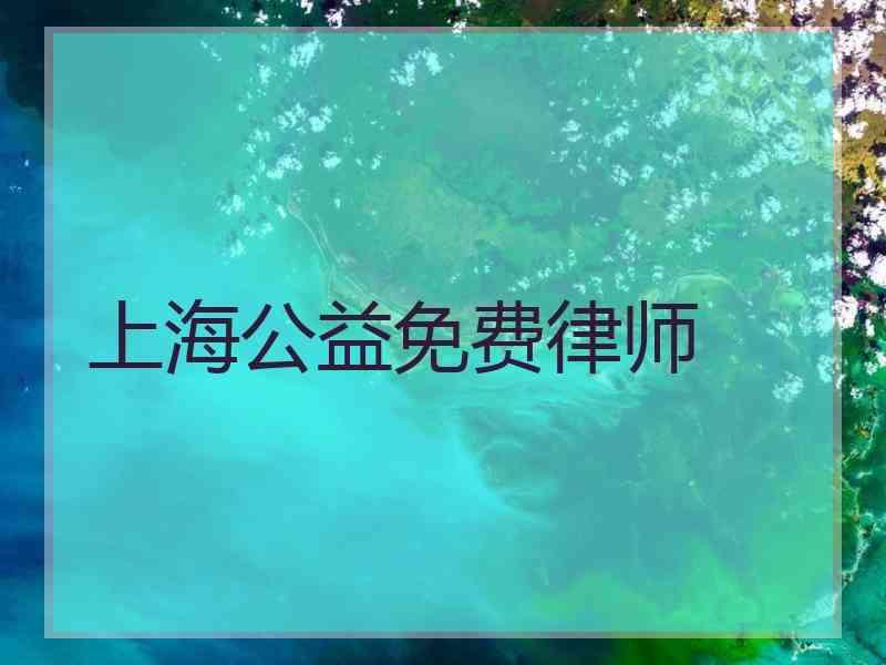 上海公益免费律师