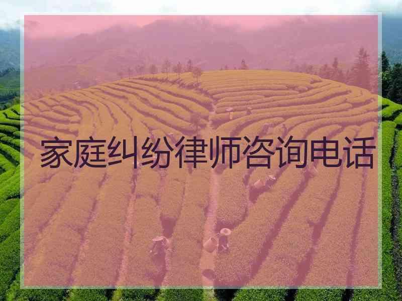 家庭纠纷律师咨询电话