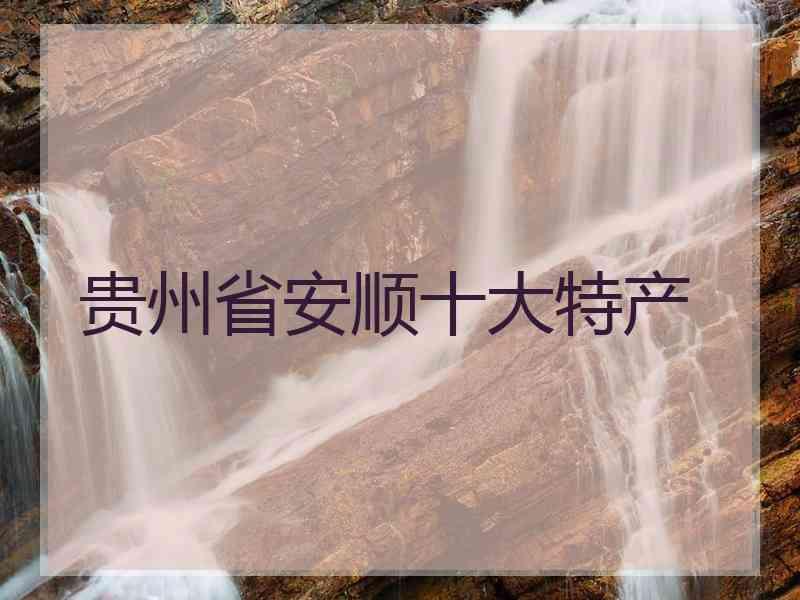 贵州省安顺十大特产