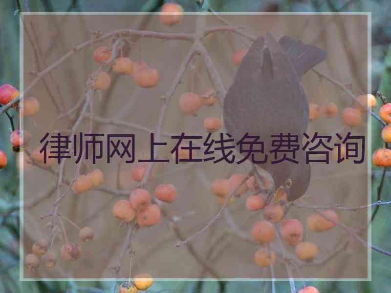 律师网上在线免费咨询