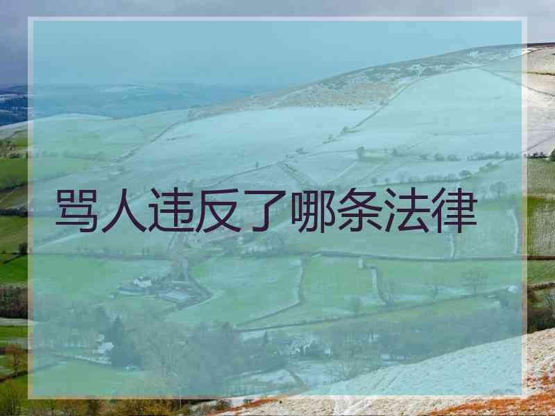 骂人违反了哪条法律