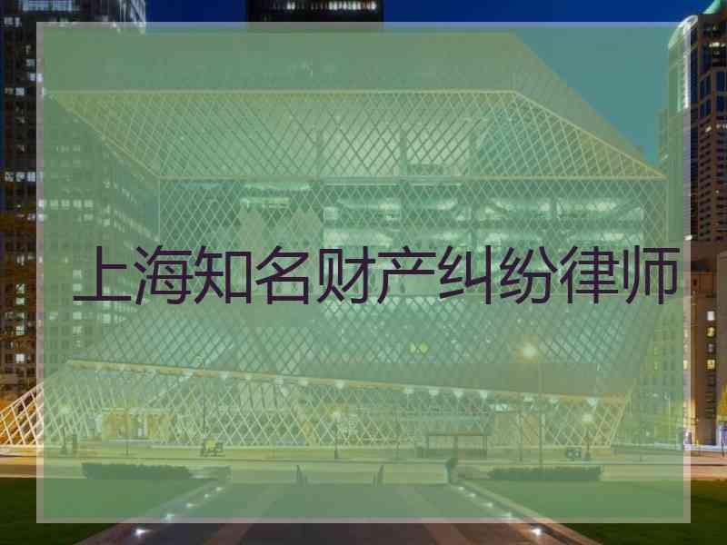 上海知名财产纠纷律师