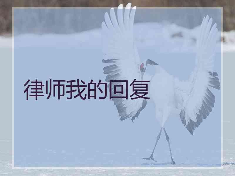 律师我的回复