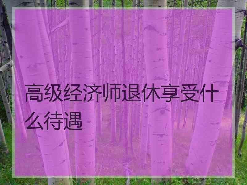 高级经济师退休享受什么待遇