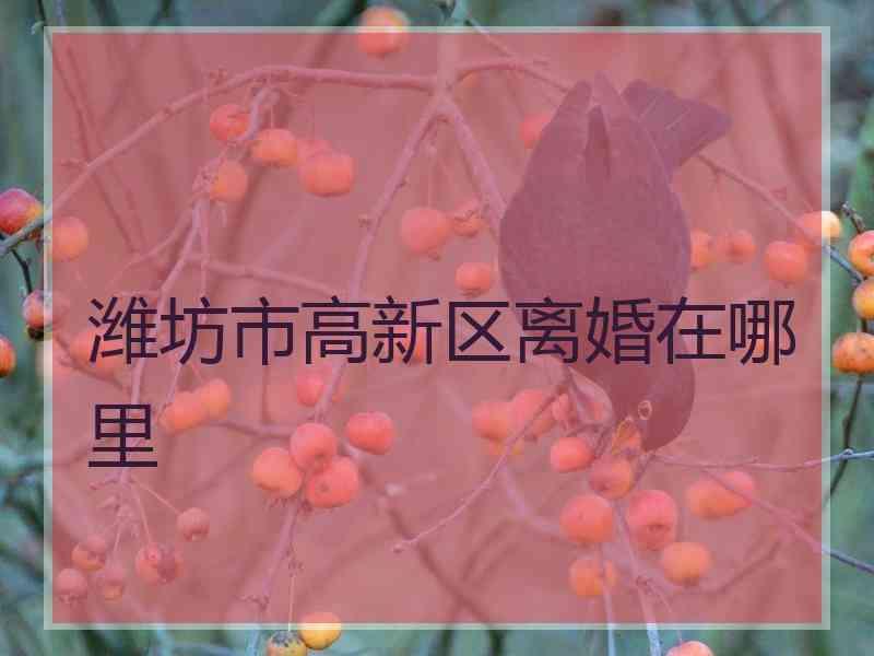 潍坊市高新区离婚在哪里