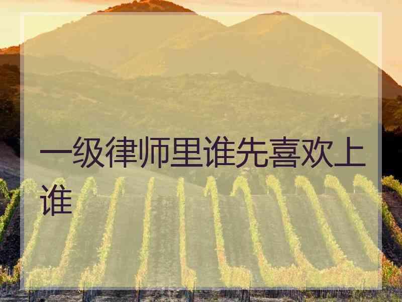 一级律师里谁先喜欢上谁