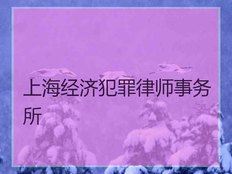 上海经济犯罪律师事务所