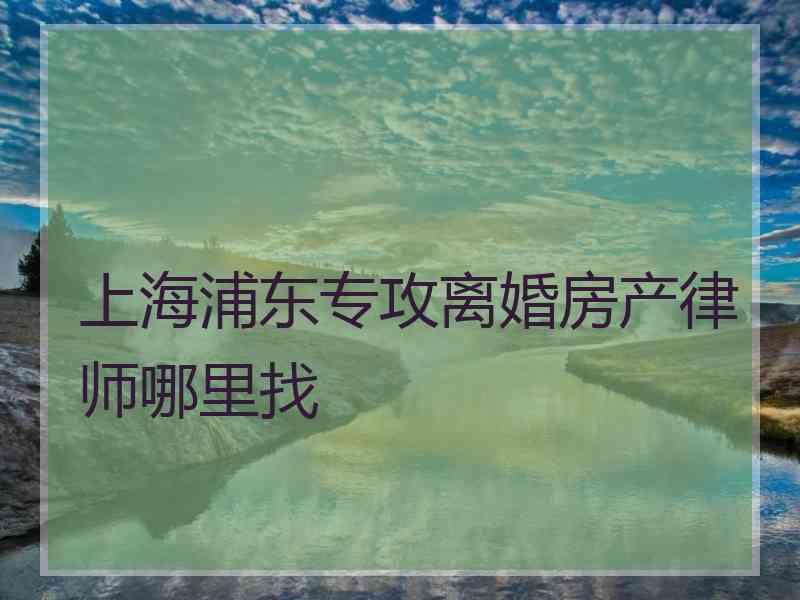 上海浦东专攻离婚房产律师哪里找