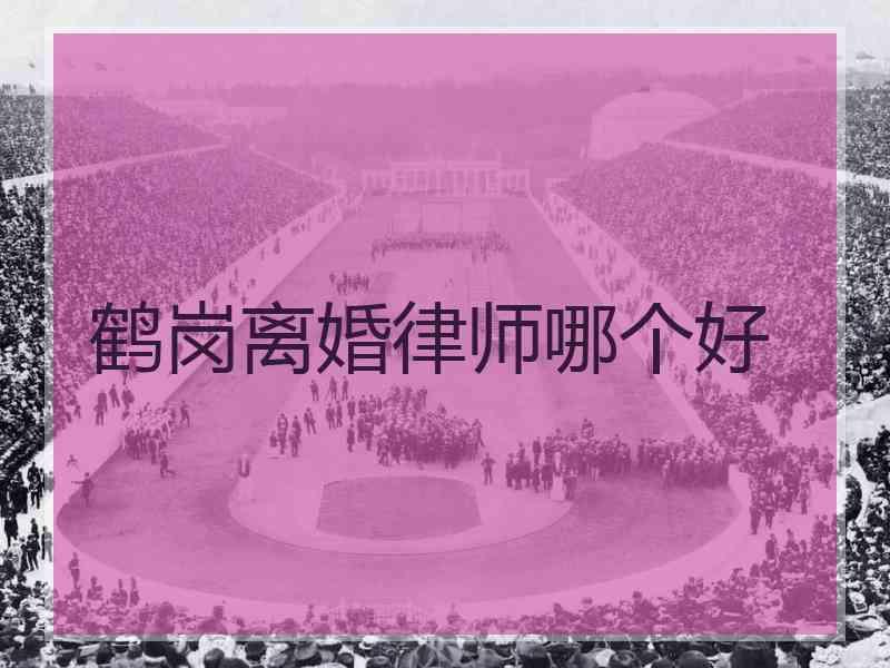 鹤岗离婚律师哪个好