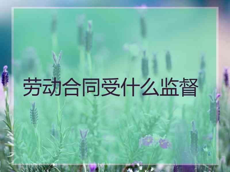 劳动合同受什么监督