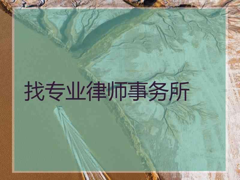 找专业律师事务所