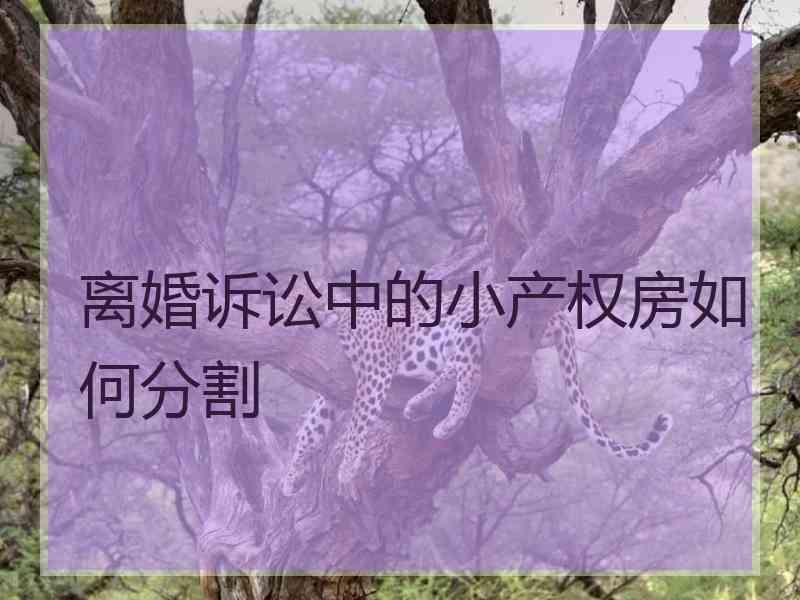 离婚诉讼中的小产权房如何分割