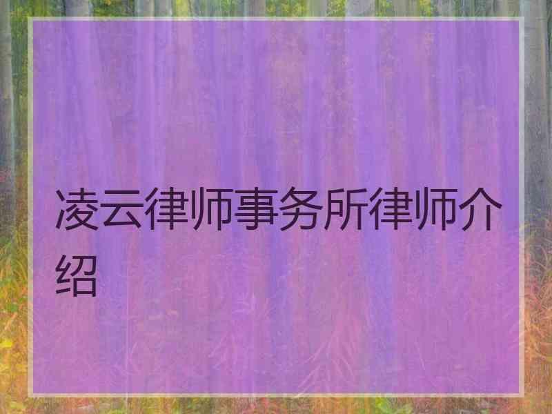 凌云律师事务所律师介绍