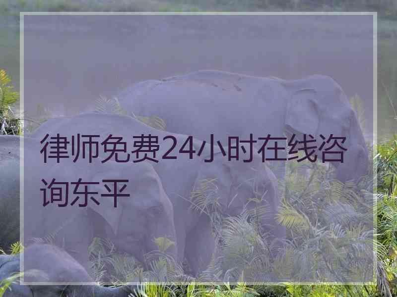 律师免费24小时在线咨询东平