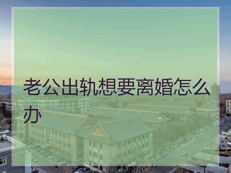 老公出轨想要离婚怎么办