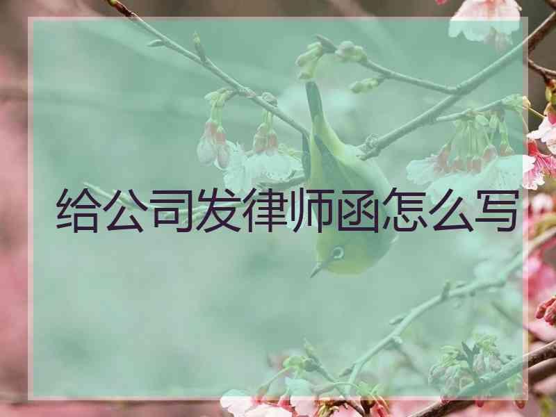 给公司发律师函怎么写