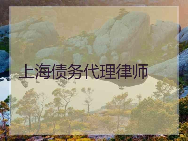 上海债务代理律师