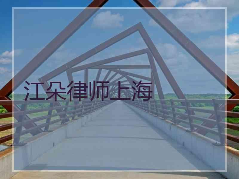 江朵律师上海