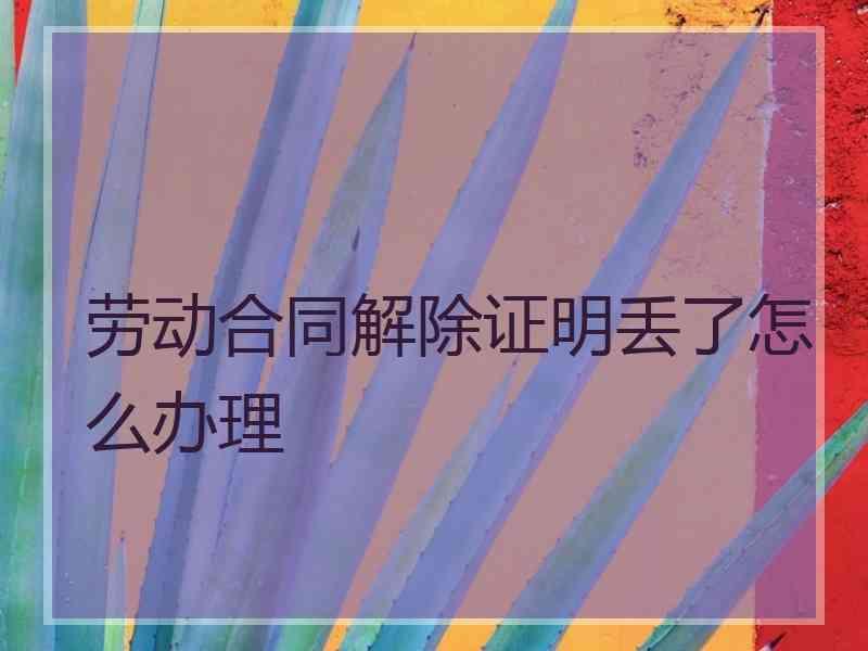 劳动合同解除证明丢了怎么办理