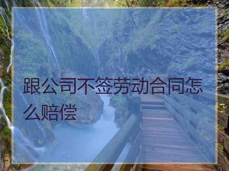 跟公司不签劳动合同怎么赔偿