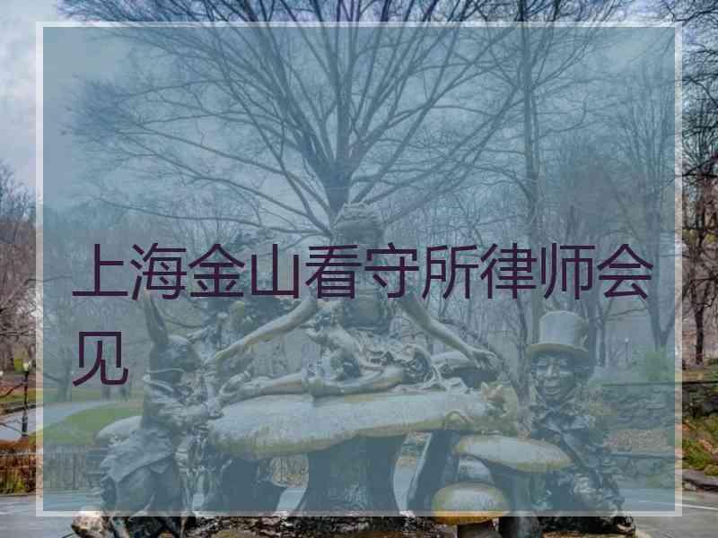 上海金山看守所律师会见