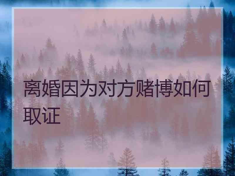 离婚因为对方赌博如何取证