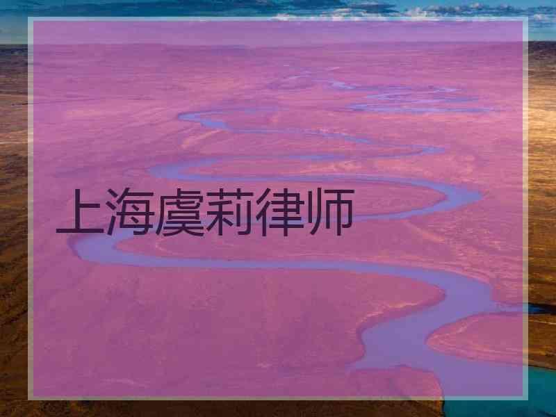 上海虞莉律师