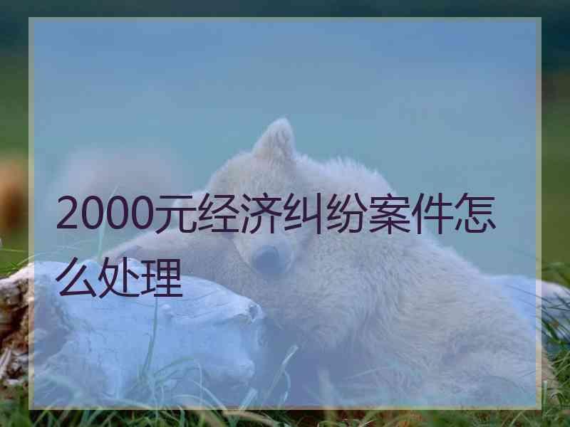 2000元经济纠纷案件怎么处理