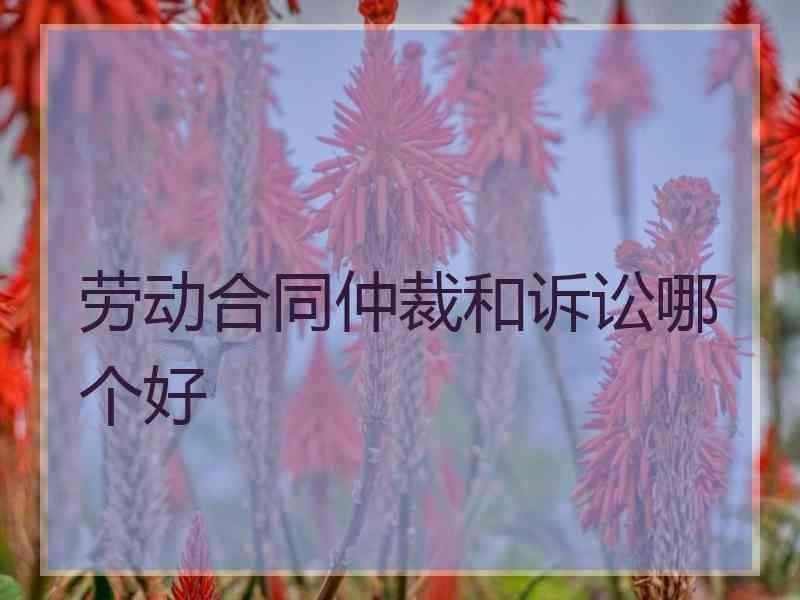 劳动合同仲裁和诉讼哪个好