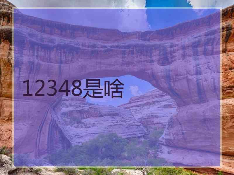 12348是啥