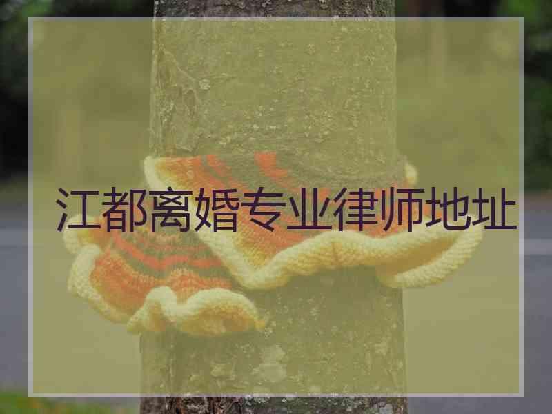 江都离婚专业律师地址 江都离婚专业律师地址