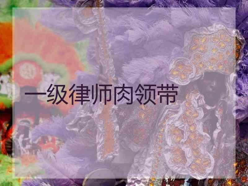 一级律师肉领带