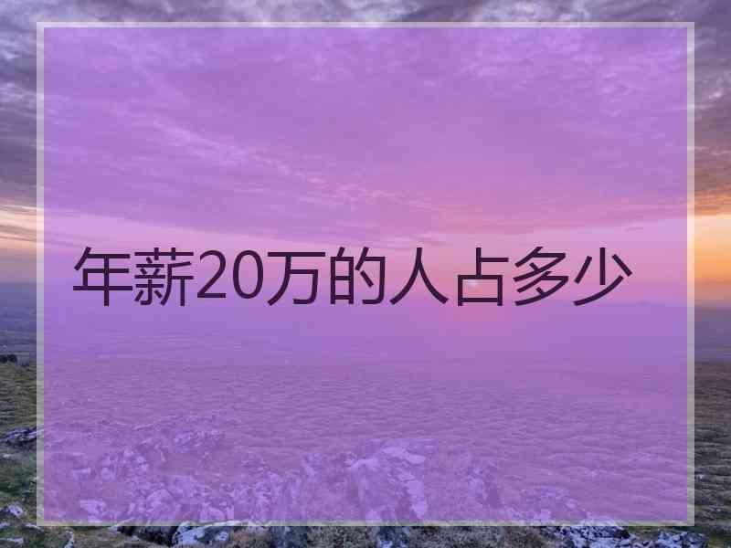 年薪20万的人占多少