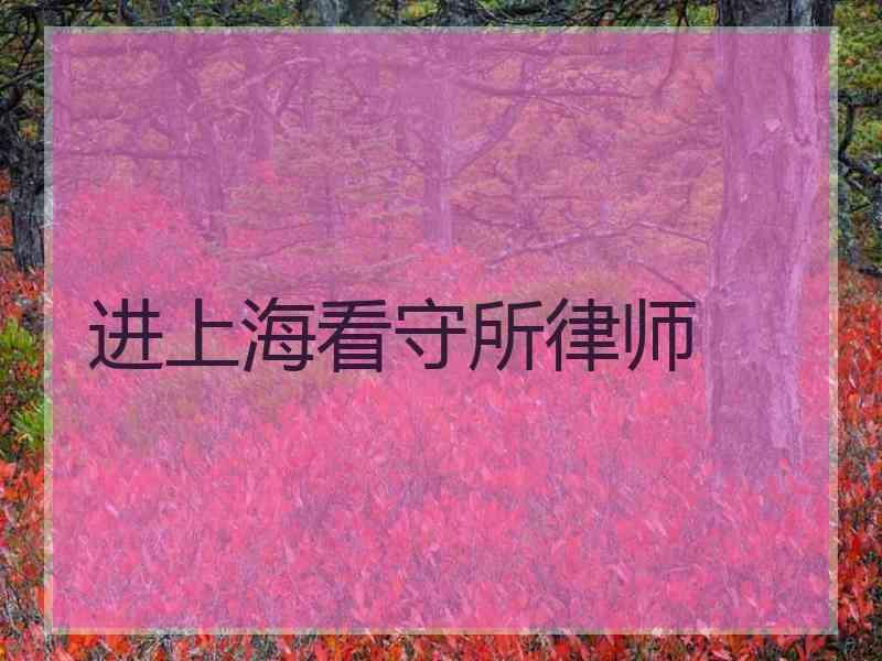 进上海看守所律师