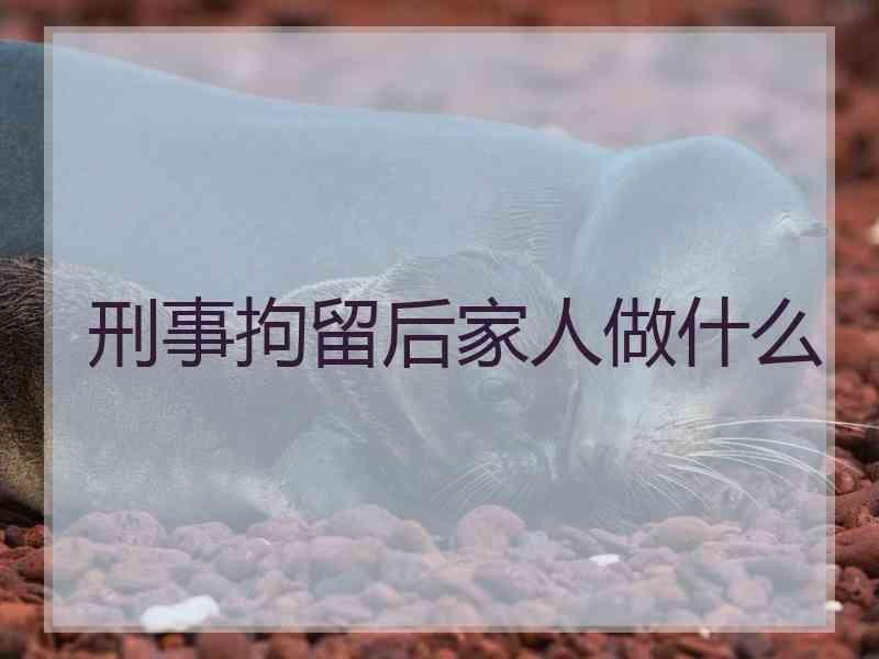 刑事拘留后家人做什么