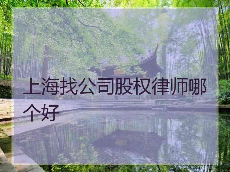 上海找公司股权律师哪个好