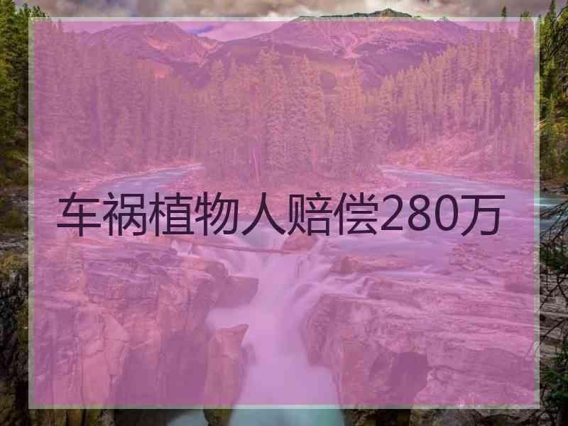 车祸植物人赔偿280万