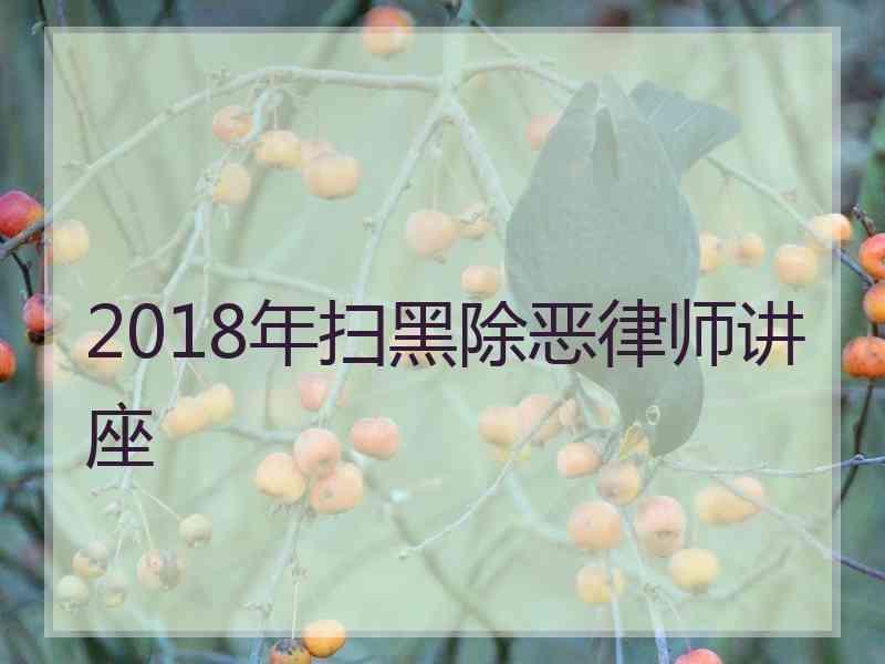 2018年扫黑除恶律师讲座