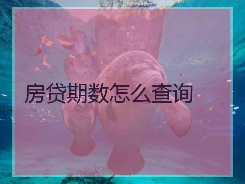 房贷期数怎么查询