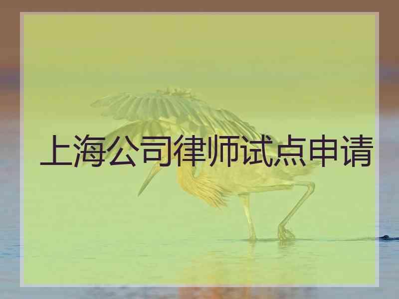 上海公司律师试点申请